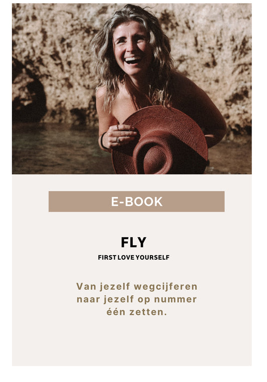 E-Book FLY